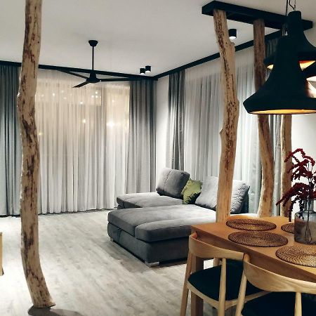 Dor Apartment 포이아나브라소프 외부 사진