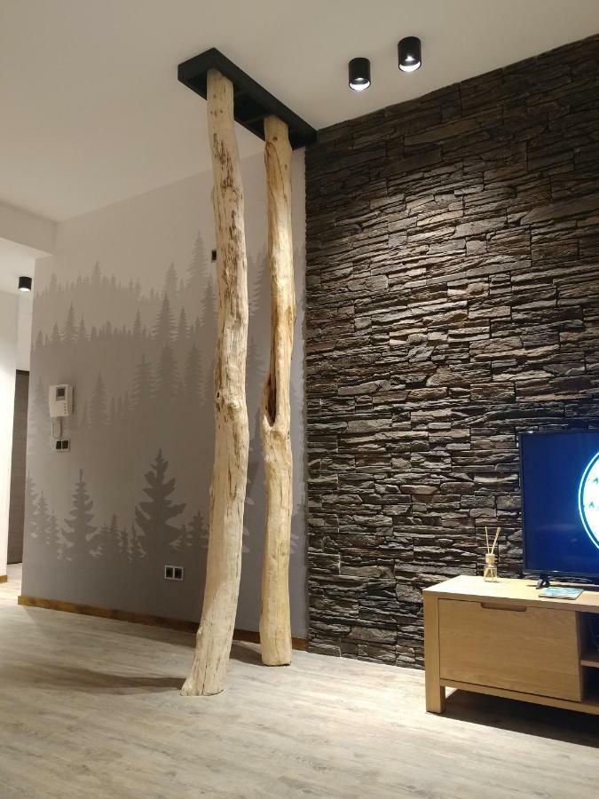 Dor Apartment 포이아나브라소프 외부 사진
