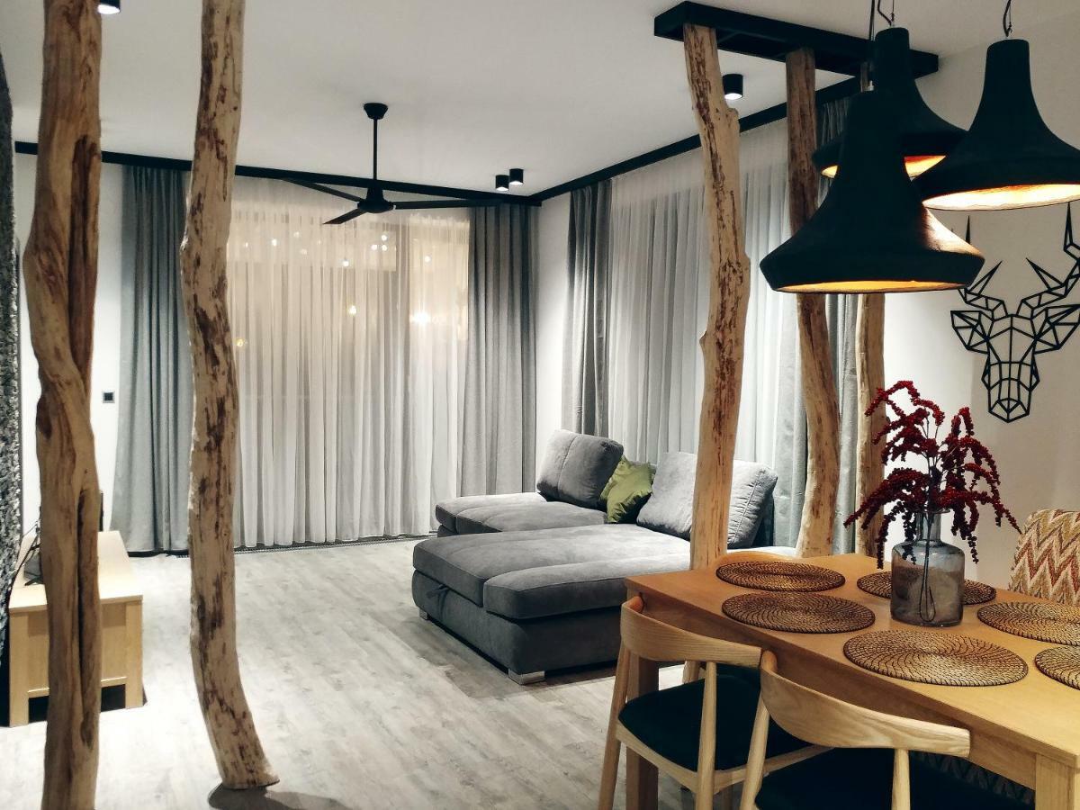Dor Apartment 포이아나브라소프 외부 사진