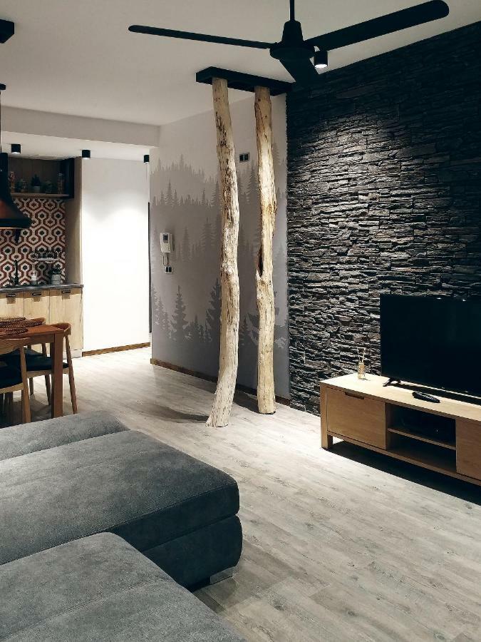 Dor Apartment 포이아나브라소프 외부 사진